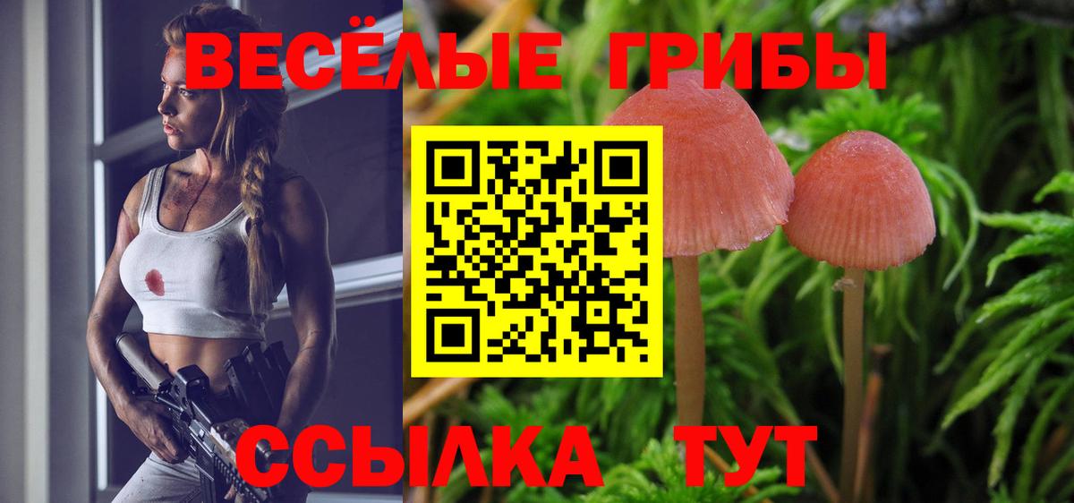 Галлюциногенные грибы MAGIC MUSHROOMS Дзержинск