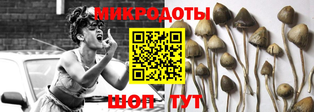 Псилоцибиновые грибы мухоморы  Галлюциногенные грибы MAGIC MUSHROOMS  Вход с VPN  Дзержинск 